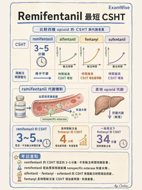 麻醉專護 - 鴉片類與非鴉片類止痛藥 - AI 圖文解析預覽
