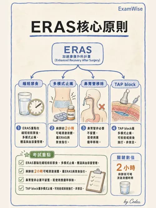 ERAS - 術後加速康復 - AI 圖文解析預覽