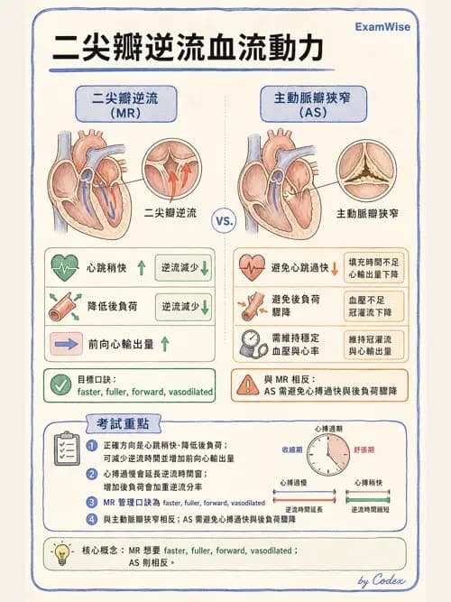 麻醉專護 - 心臟手術與體外循環麻醉 - AI 圖文解析預覽