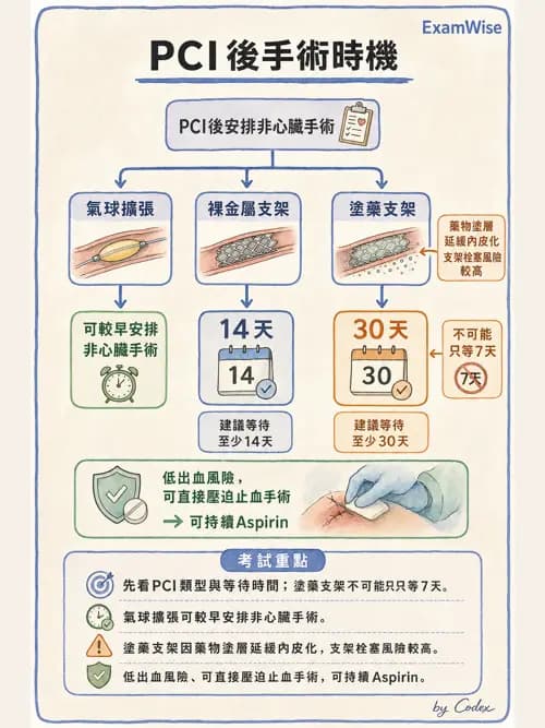 麻醉專護 - 術前評估與風險管理 - AI 圖文解析預覽