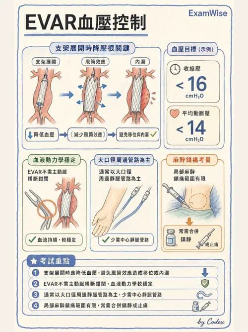 麻醉專護 - 腹部一般外科與胸腔手術麻醉 - AI 圖文解析預覽