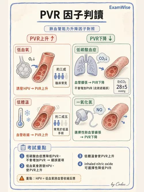 麻醉專護 - 心臟手術與體外循環麻醉 - AI 圖文解析預覽