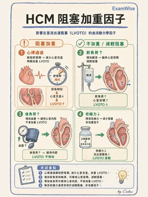 麻醉專護 - 心臟手術與體外循環麻醉 - AI 圖文解析預覽