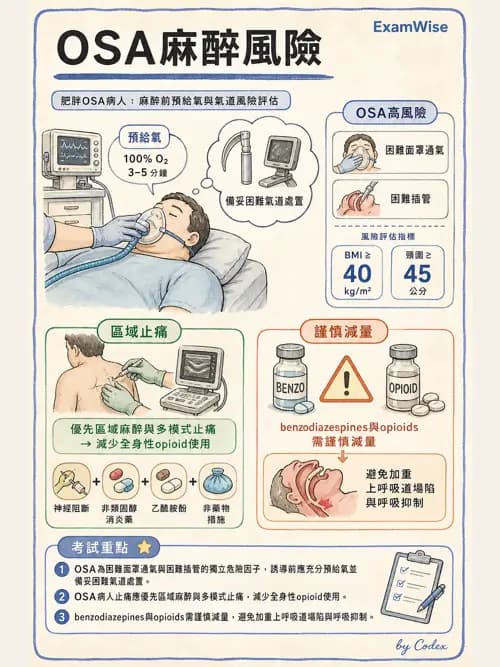 麻醉專護 - 肥胖與減重手術麻醉 - AI 圖文解析預覽