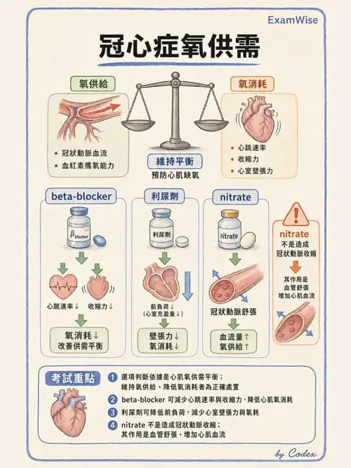 麻醉專護 - 心臟手術與體外循環麻醉 - AI 圖文解析預覽