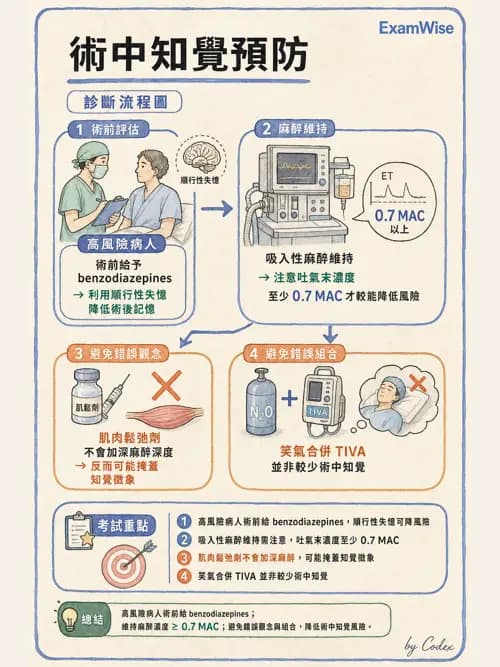 麻醉專護 - 鎮靜安眠藥、吸入性麻醉藥與TIVA - AI 圖文解析預覽