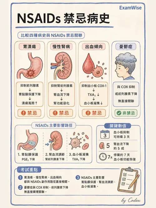 麻醉專護 - 急性術後疼痛與多模式止痛 - AI 圖文解析預覽