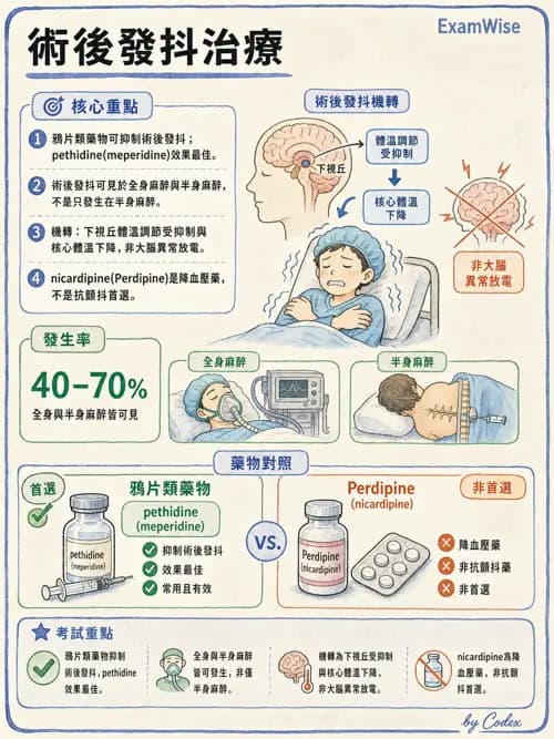 麻醉專護 - PACU照護、PONV與術後寒顫 - AI 圖文解析預覽