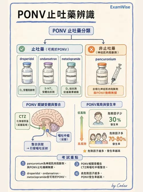 麻醉專護 - PACU照護、PONV與術後寒顫 - AI 圖文解析預覽