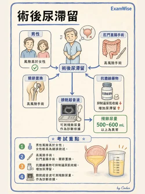 麻醉專護 - PACU照護、PONV與術後寒顫 - AI 圖文解析預覽