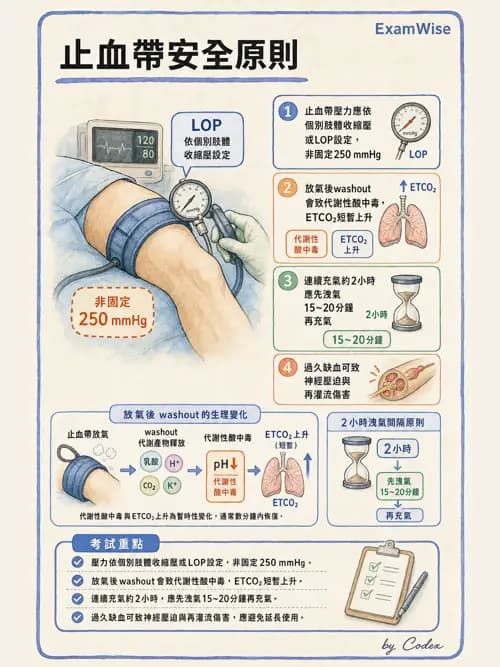 麻醉專護 - 手術體位、止血帶與周邊神經損傷 - AI 圖文解析預覽