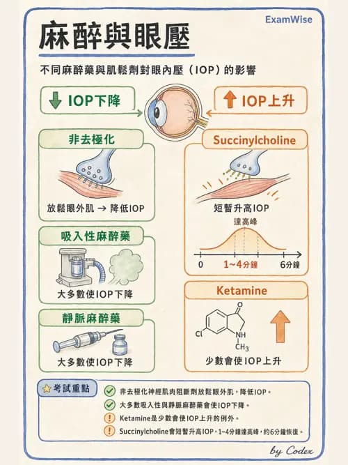 麻醉專護 - 頭頸/耳鼻喉/眼科手術麻醉 - AI 圖文解析預覽