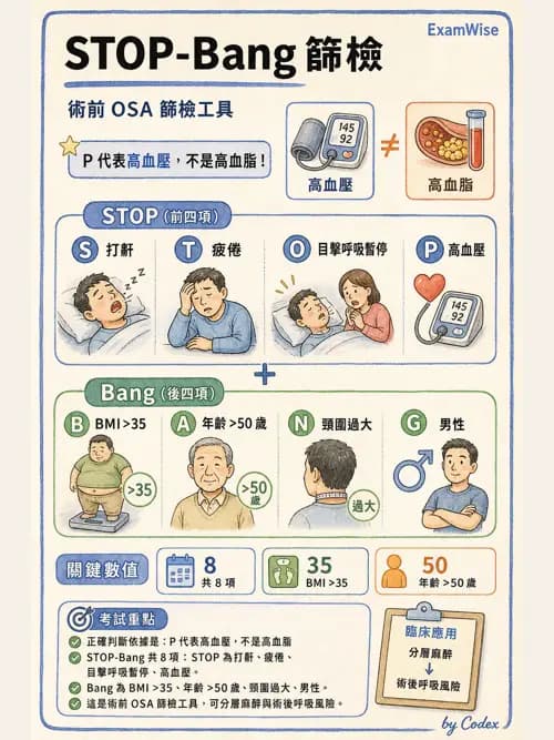 麻醉專護 - 術前評估與風險管理 - AI 圖文解析預覽
