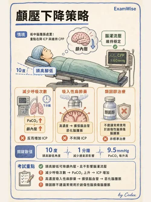 麻醉專護 - 神經外科與脊椎手術麻醉 - AI 圖文解析預覽