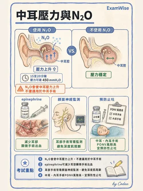 麻醉專護 - 頭頸/耳鼻喉/眼科手術麻醉 - AI 圖文解析預覽