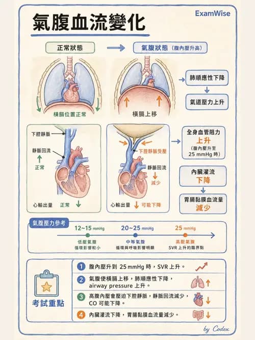 麻醉專護 - 泌尿/婦科/機器人腹腔鏡手術麻醉 - AI 圖文解析預覽