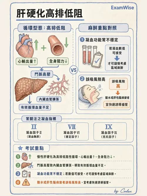 麻醉專護 - 腹部一般外科與胸腔手術麻醉 - AI 圖文解析預覽