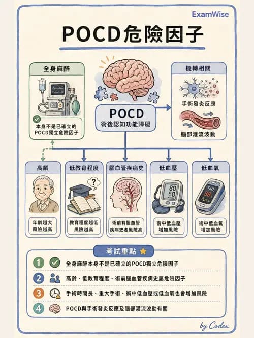 麻醉專護 - 術後譫妄與認知功能障礙 - AI 圖文解析預覽