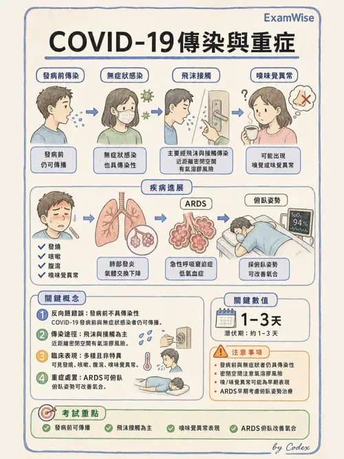 麻醉專護 - 感染症、發燒與抗生素 - AI 圖文解析預覽