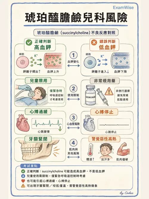 麻醉專護 - 小兒麻醉 - AI 圖文解析預覽