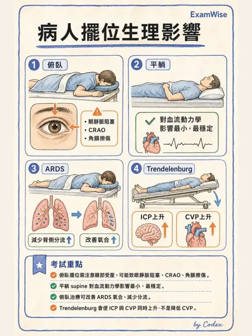 麻醉專護 - 手術體位、止血帶與周邊神經損傷 - AI 圖文解析預覽