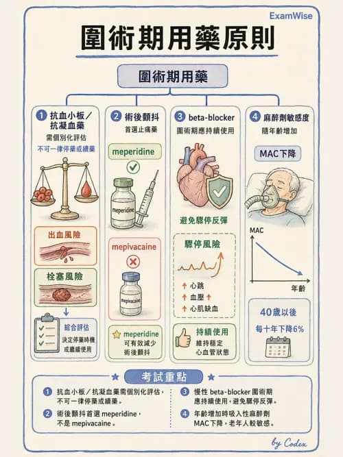 麻醉專護 - 老年麻醉 - AI 圖文解析預覽