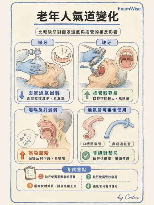 麻醉專護 - 老年麻醉 - AI 圖文解析預覽