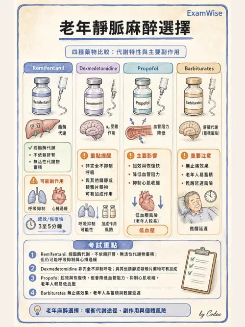 麻醉專護 - 老年麻醉 - AI 圖文解析預覽