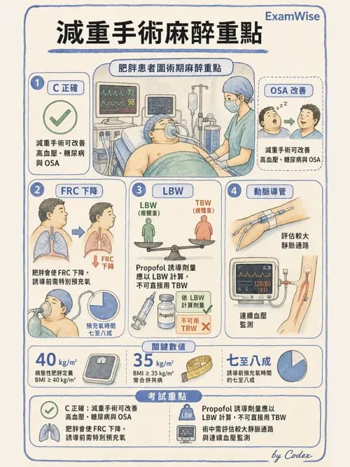 麻醉專護 - 肥胖與減重手術麻醉 - AI 圖文解析預覽