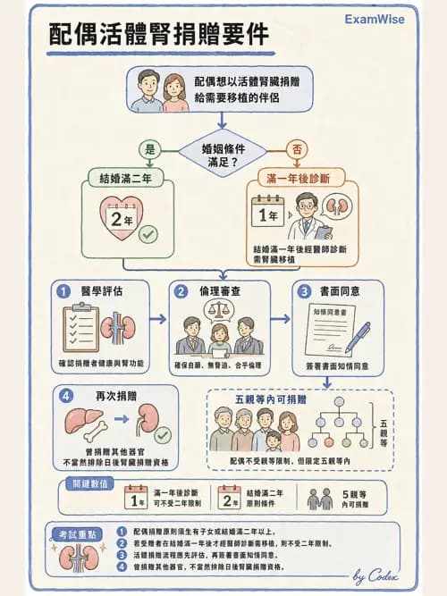 麻醉專護 - 護理及專科護理相關法規 - AI 圖文解析預覽