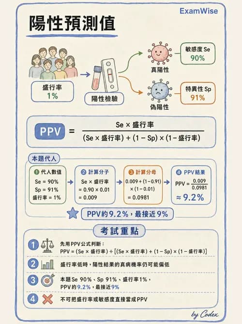 麻醉專護 - 實證醫學方法與文獻查證 - AI 圖文解析預覽