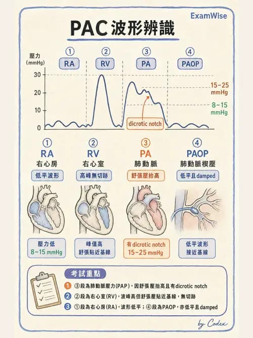 麻醉專護 - 術中生理監測技術 - AI 圖文解析預覽