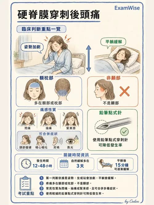 麻醉專護 - 麻醉恢復室照護與術後併發症 - AI 圖文解析預覽