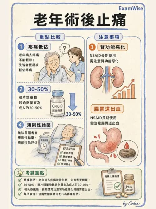 麻醉專護 - 疼痛處置與輸液輸血治療 - AI 圖文解析預覽