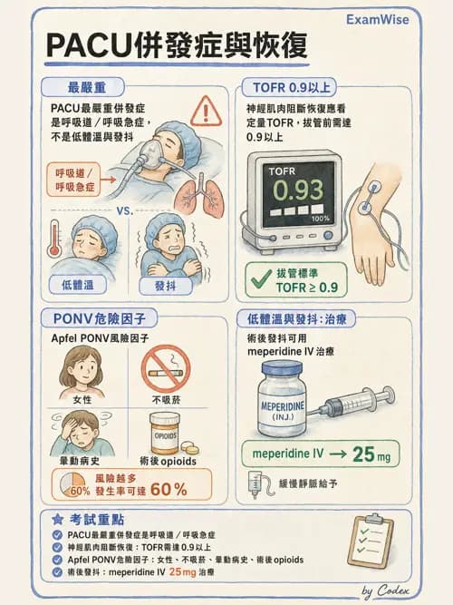 麻醉專護 - 麻醉恢復室照護與術後併發症 - AI 圖文解析預覽
