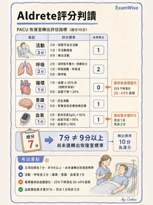 麻醉專護 - 麻醉恢復室照護與術後併發症 - AI 圖文解析預覽