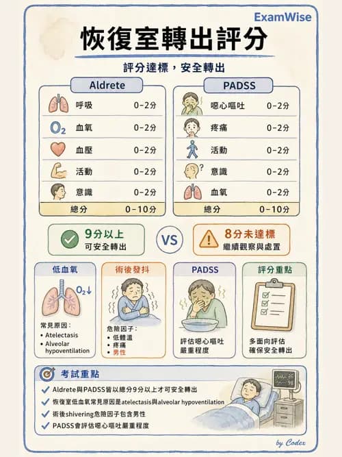 麻醉專護 - 麻醉恢復室照護與術後併發症 - AI 圖文解析預覽