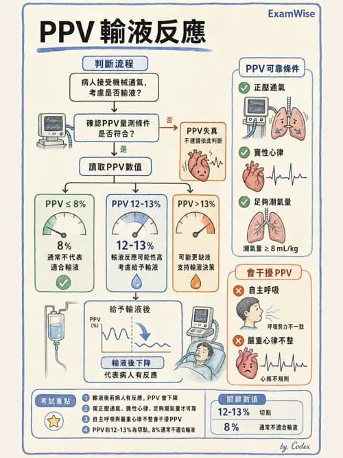 麻醉專護 - 術中生理監測技術 - AI 圖文解析預覽