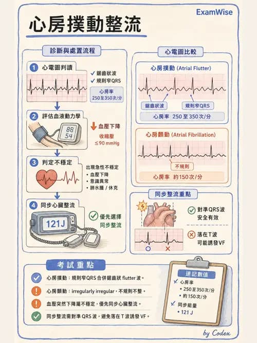 麻醉專護 - 術中生理監測技術 - AI 圖文解析預覽