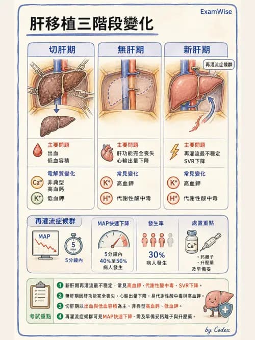 麻醉專護 - 各科手術與特殊族群麻醉 - AI 圖文解析預覽