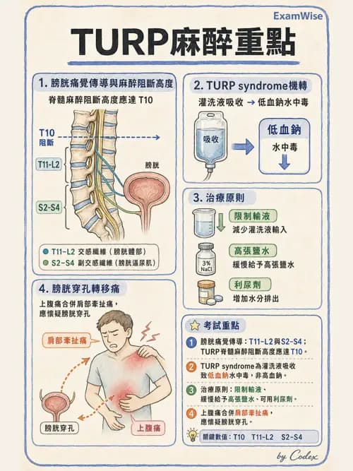 麻醉專護 - 各科手術與特殊族群麻醉 - AI 圖文解析預覽