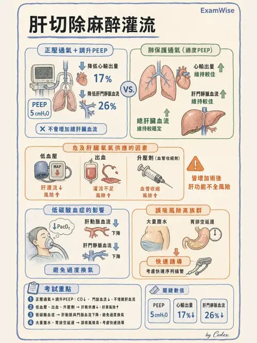 麻醉專護 - 各科手術與特殊族群麻醉 - AI 圖文解析預覽