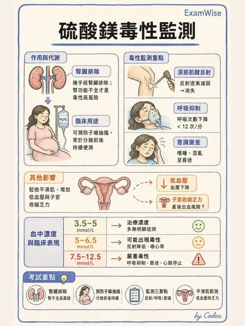 麻醉專護 - 各科手術與特殊族群麻醉 - AI 圖文解析預覽