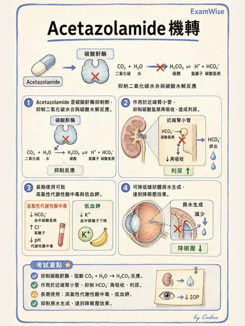 麻醉專護 - 各科手術與特殊族群麻醉 - AI 圖文解析預覽