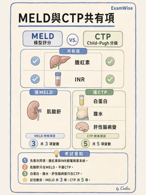 麻醉專護 - 腎臟肝臟疾病與神經生理評估 - AI 圖文解析預覽