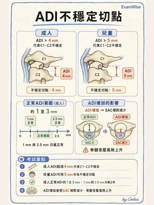 麻醉專護 - 呼吸道評估與處置 - AI 圖文解析預覽