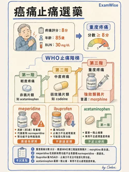 麻醉專護 - 止痛藥物與安寧緩和照護基礎 - AI 圖文解析預覽