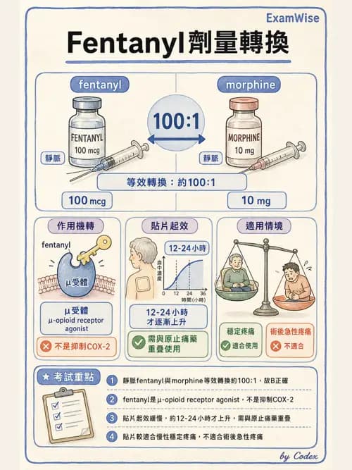 麻醉專護 - 鴉片類與非鴉片類止痛藥 - AI 圖文解析預覽