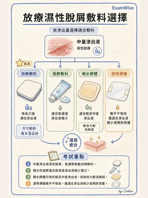 麻醉專護 - 內科疾病鑑別診斷 - AI 圖文解析預覽