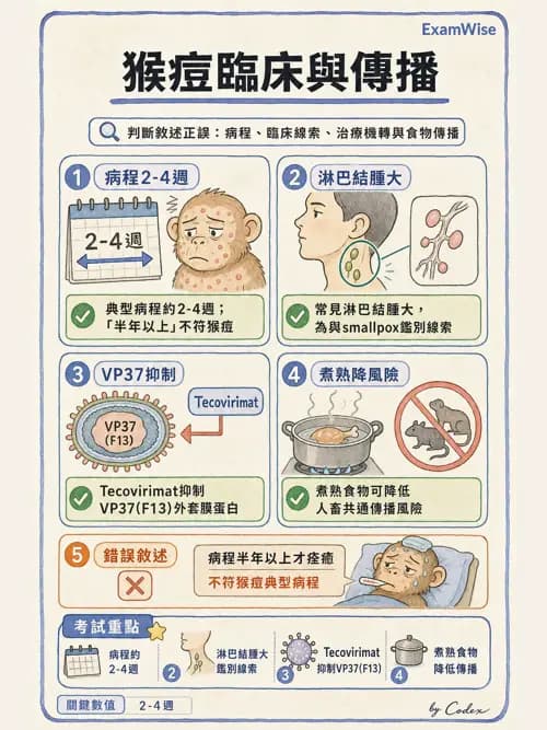 麻醉專護 - 感染症、發燒與抗生素 - AI 圖文解析預覽
